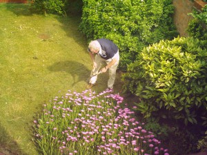 1280px-Gardening